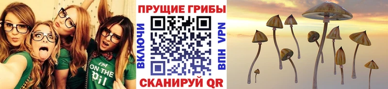 хочу наркоту  мега зеркало  Псилоцибиновые грибы Psilocybe  Нелидово 